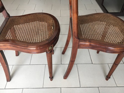 Coppia sedie con seduta - , in
